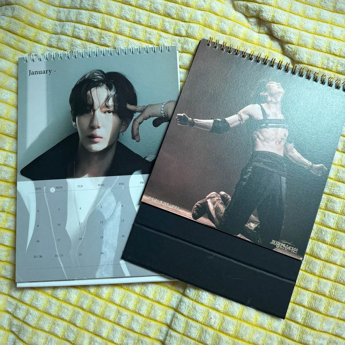 빅스 레오 정택운 달력