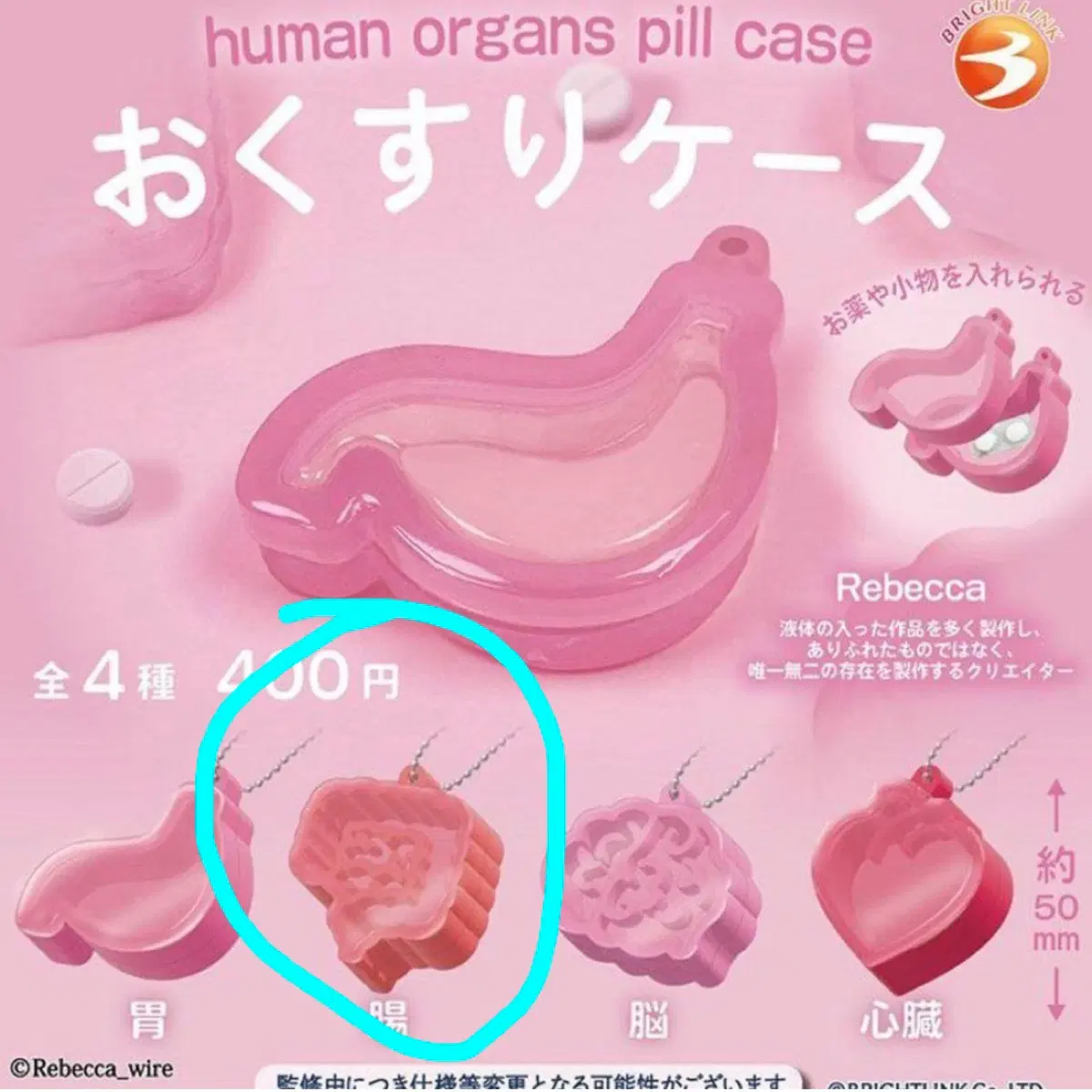 인체장기모양 알약케이스 가챠- 옵션:장 판매합다