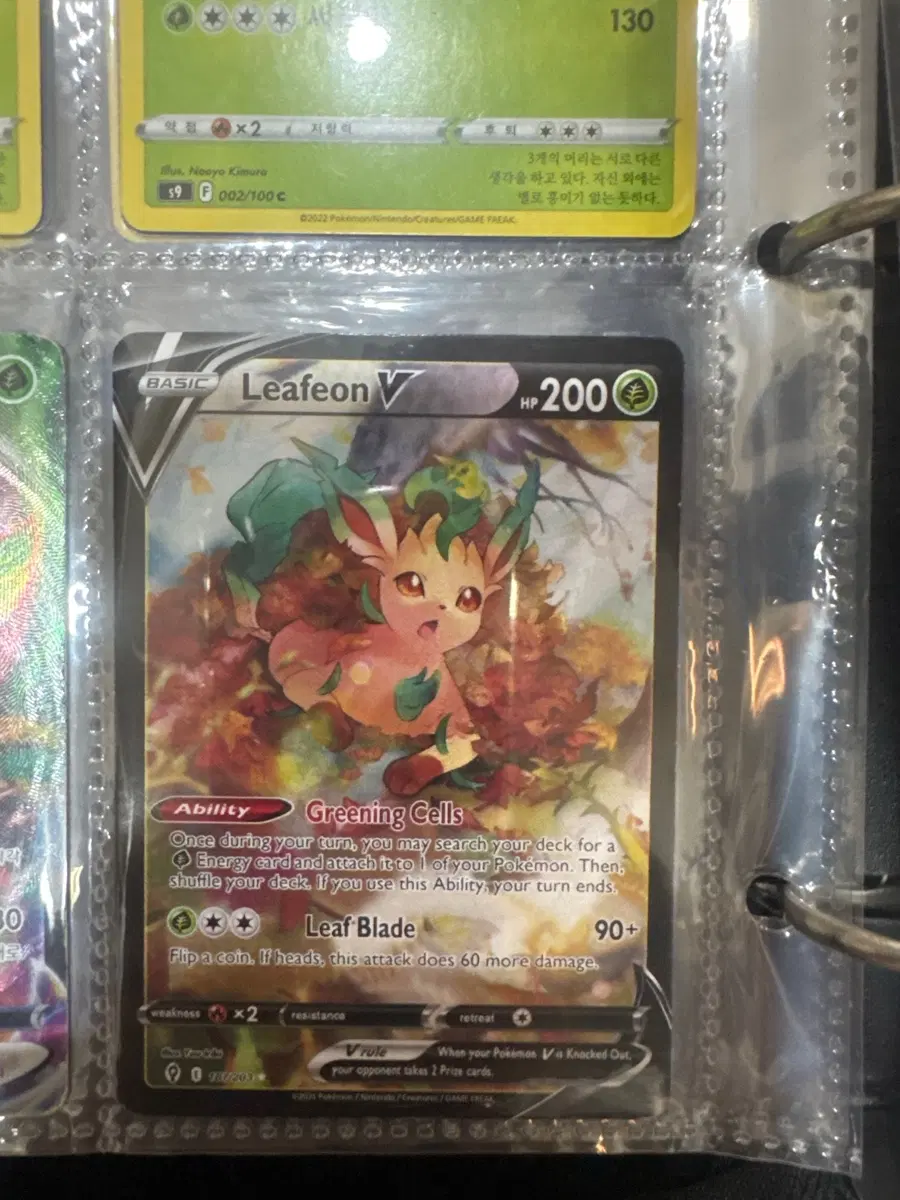 Leafeon v 북미판