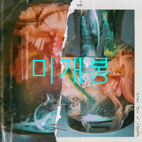 [미개봉] 윤병호 (블리다바스타드) - Bipolar In Ma Neck