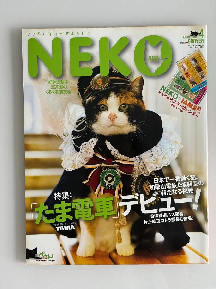 일본 고전 고양이 neko 잡지