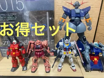 HG RG 프라모델 GFF 지오노그래피 지옹 퍼펙트 지옹