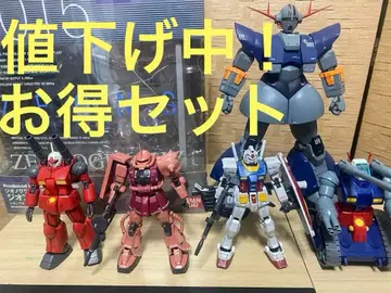 HG RG 프라모델 GFF 지오노그래피 지옹 퍼펙트 지옹
