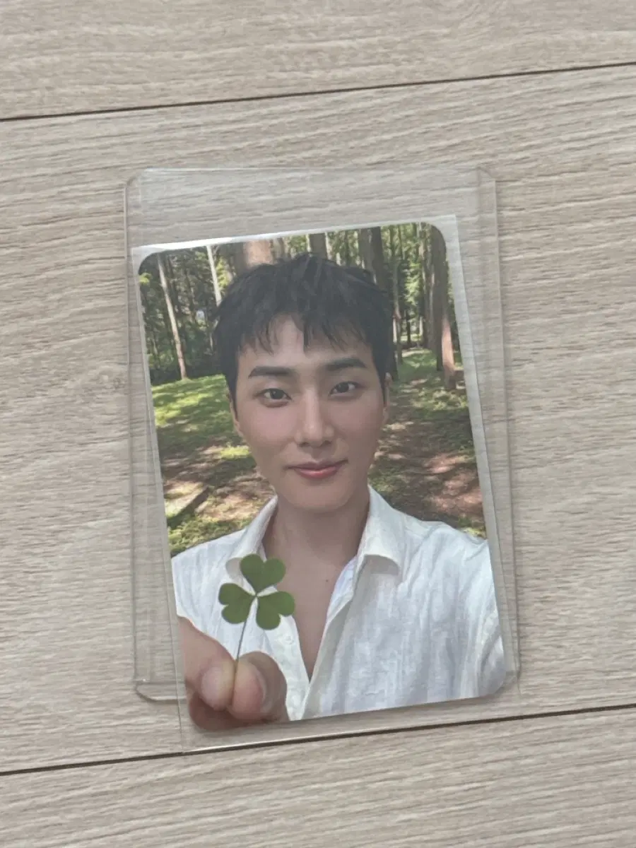 데이식스 영케이 레윗노 클로버 포카 포토카드