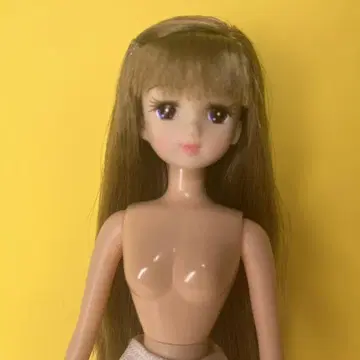 리카짱 캐슬 오타노시미 인형 이즈미짱