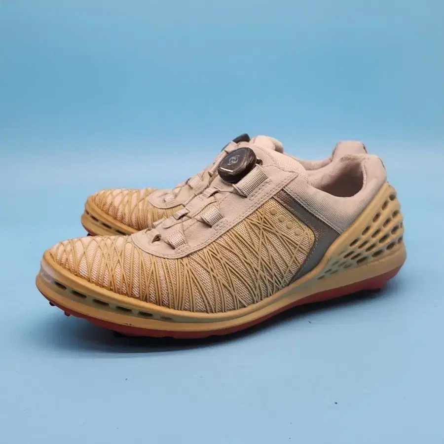 ll 에코 케이지 프로 보아 골프화 250