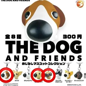 THEDOG ANDFRIENDS 메지루시 퍼그 레트리버 비글