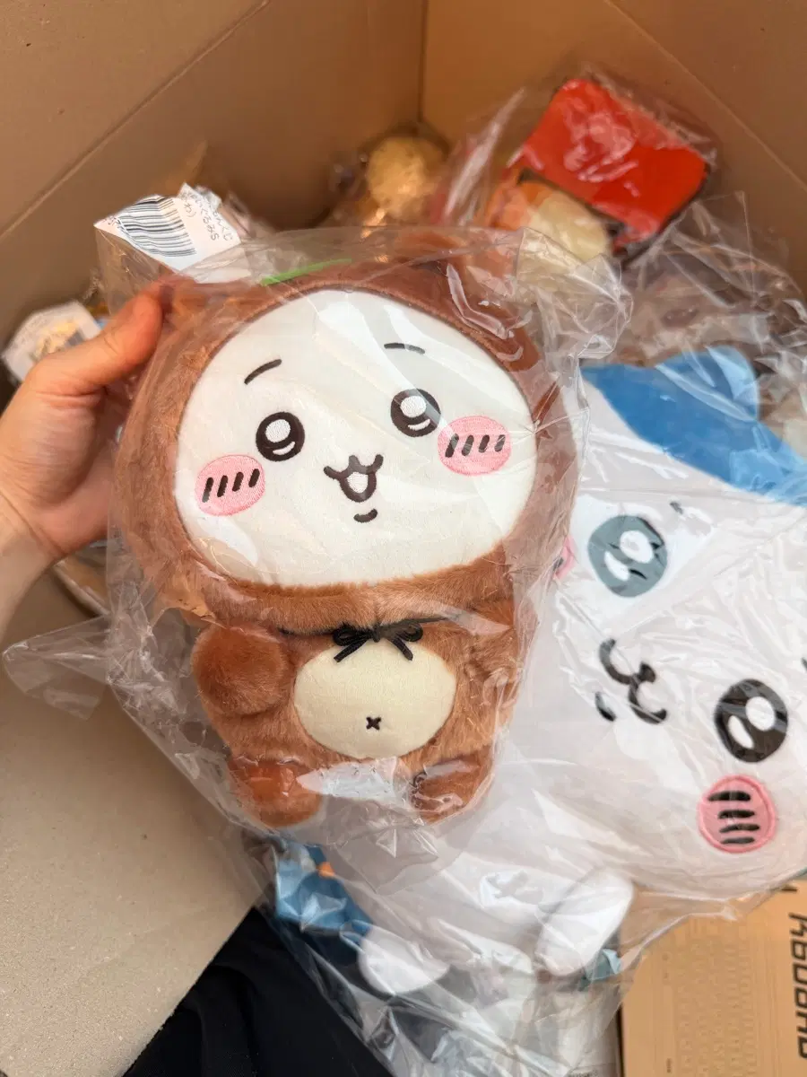 치이카와 너구리쿠지 B상