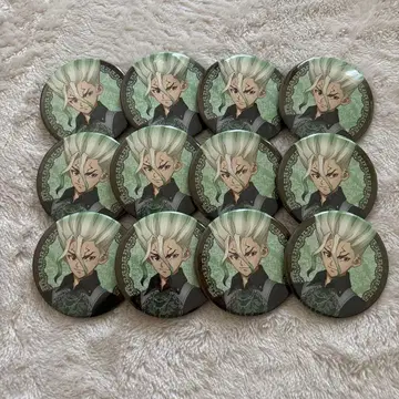 Dr.STONE 이시가미 센쿠 고딕 캔뱃지 12개