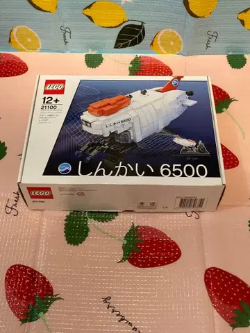 LEGO 심해 6500 모델 21100 레고