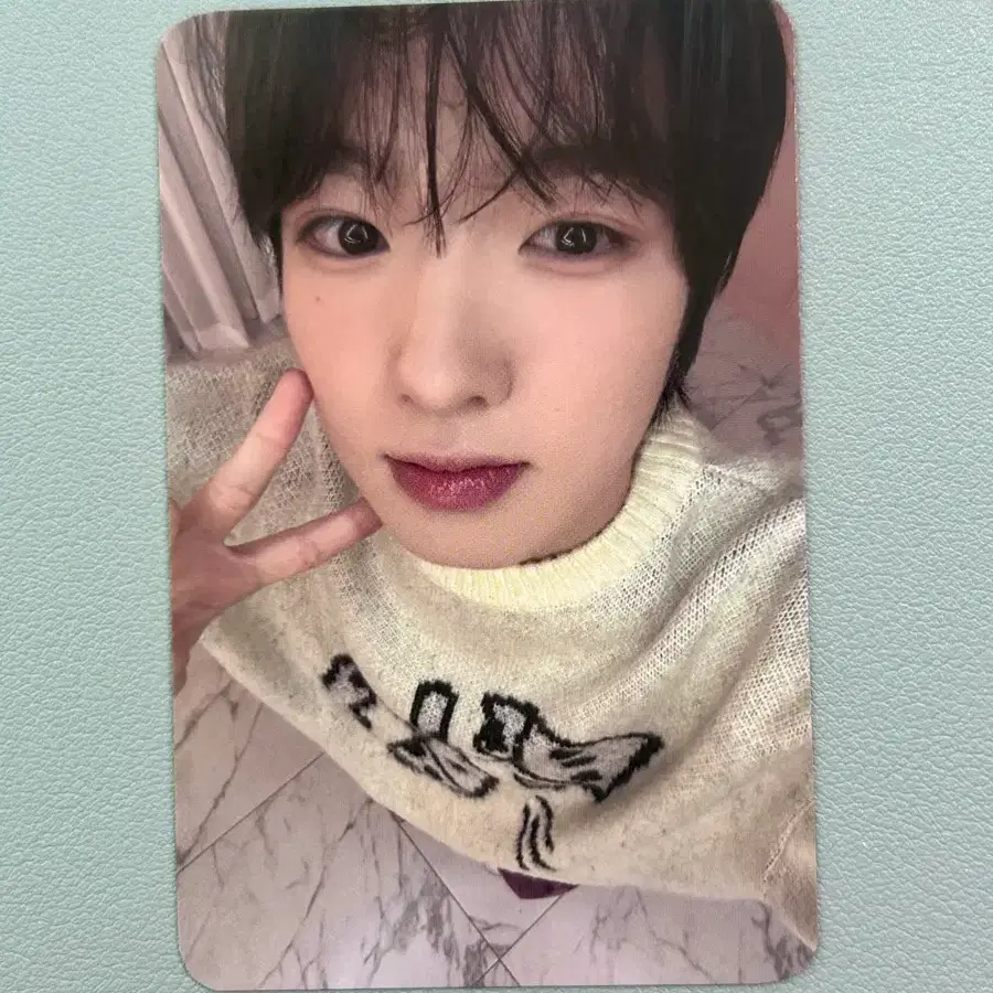 엔시키 위시 사쿠야 스테디 점프업 포카 판매