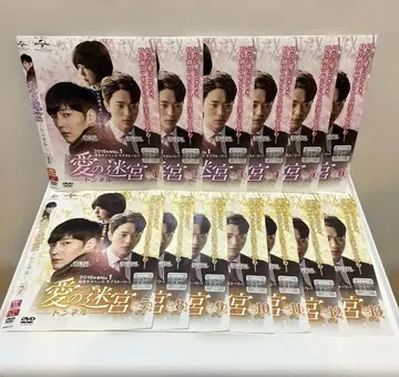 한국 드라마 사랑의 미궁 DVD 1-13권 전권 세트