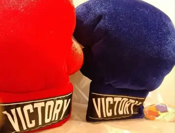 복싱 그로브형 쿠션 2개 세트 VICTORY