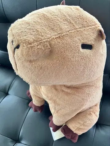 FANS 카피바라 봉제 인형 XL 프리미엄