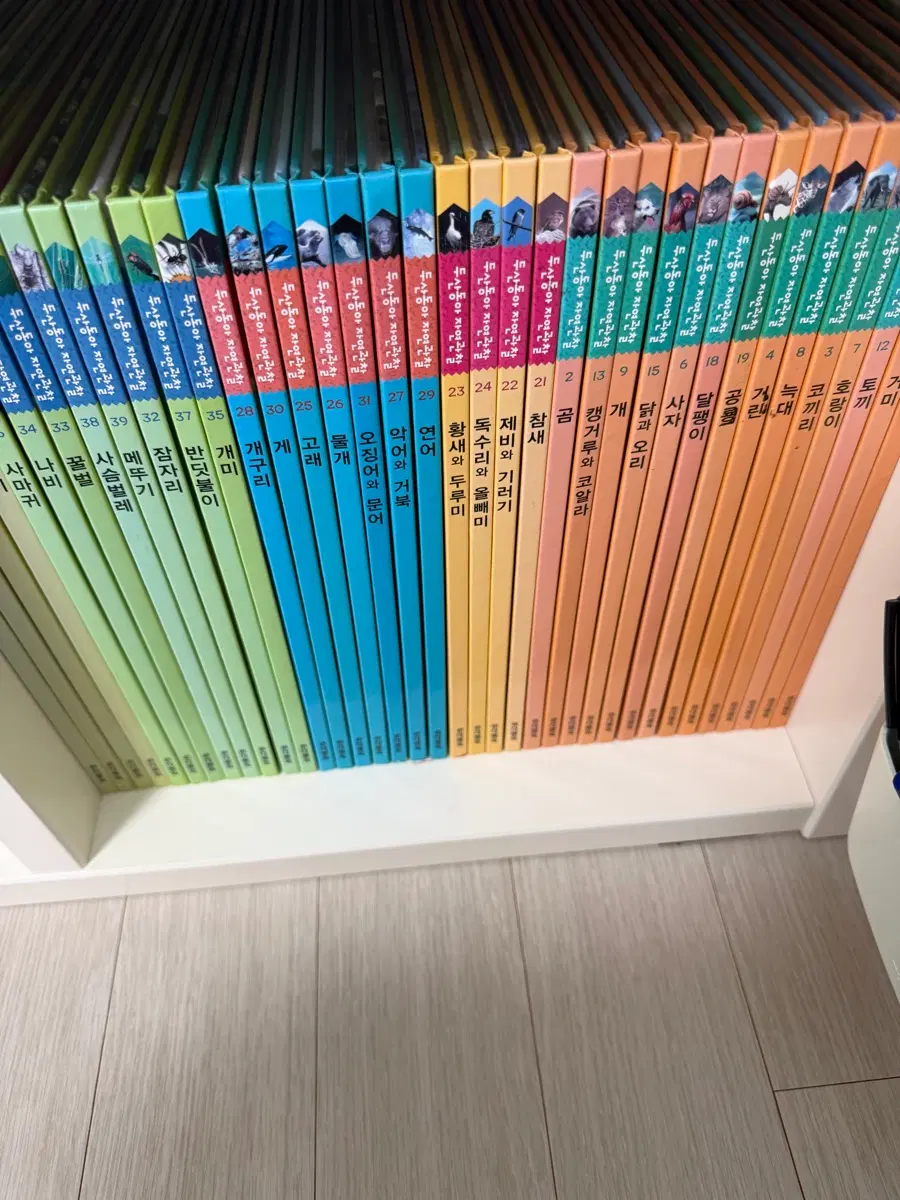 두산동아 자연관찰 전집