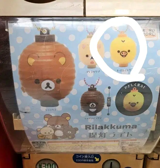 리락쿠마 전등 초롱 등불 키이로이토리 새상품