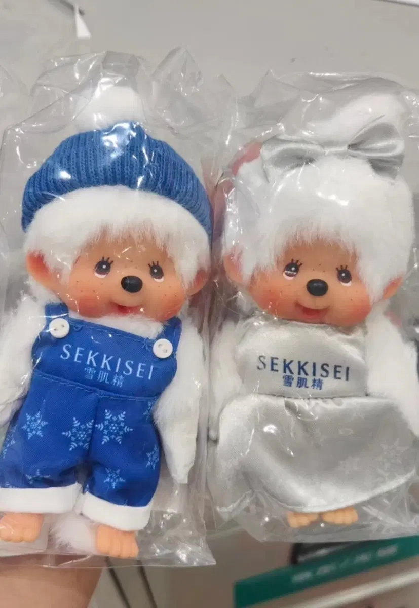 SEKKISEI 콜라보 몬치치 세트