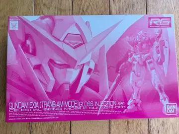 RG 1/144 건담 엑시아 (트랜잠 모드) 글로스 인젝션 Ve