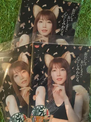 닛신 돈베이 요시오카 리호 클리어 파일 3장 세트
