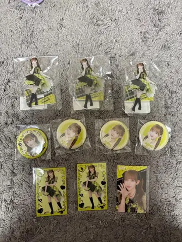 후르츠 지퍼 하차메차 와차 라이프 스키복권 하야세 노엘 묶음 판매