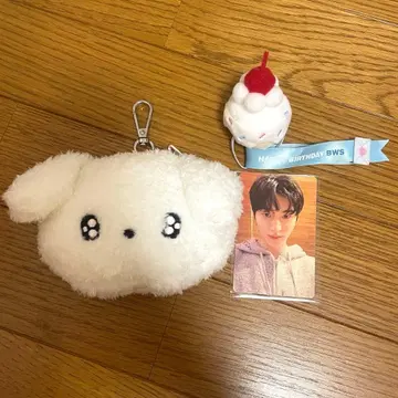 변우석 HBD BWS! POUCH 세트