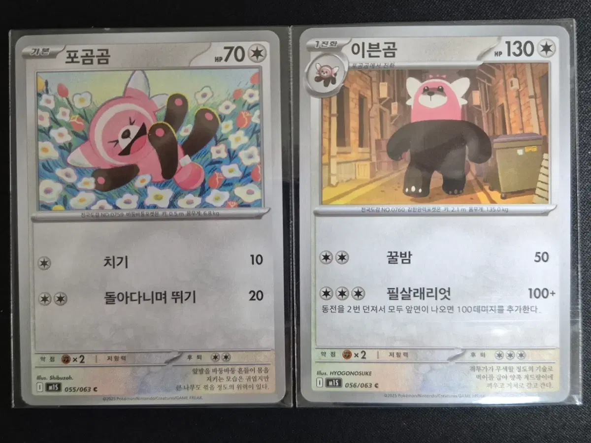 포켓몬 카드 포곰곰&이븐곰 세트