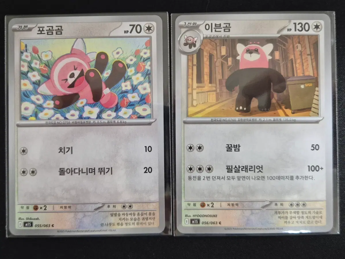 #2 포켓몬 카드 포곰곰&이븐곰 세트
