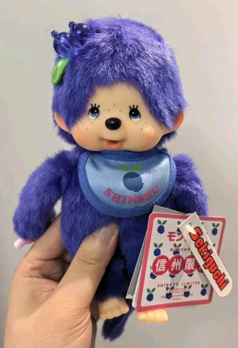 몬치치 신저우 지역한정 블루베리