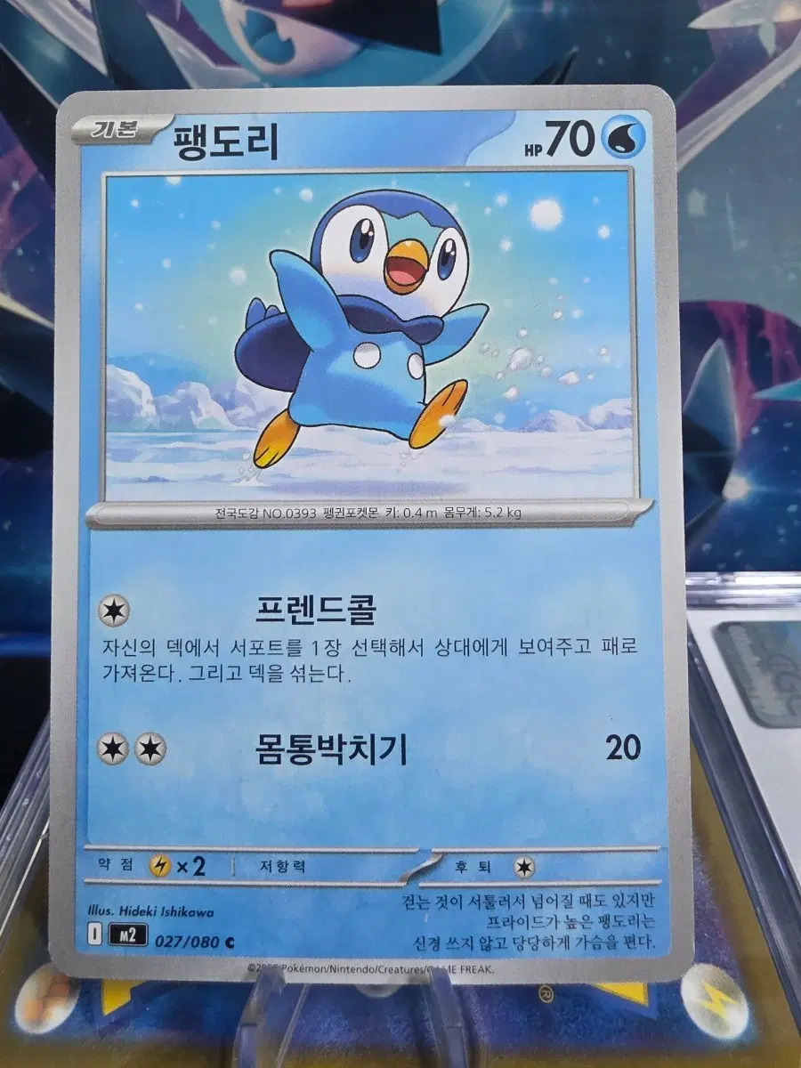 포켓몬카드 팽도리 싱글
