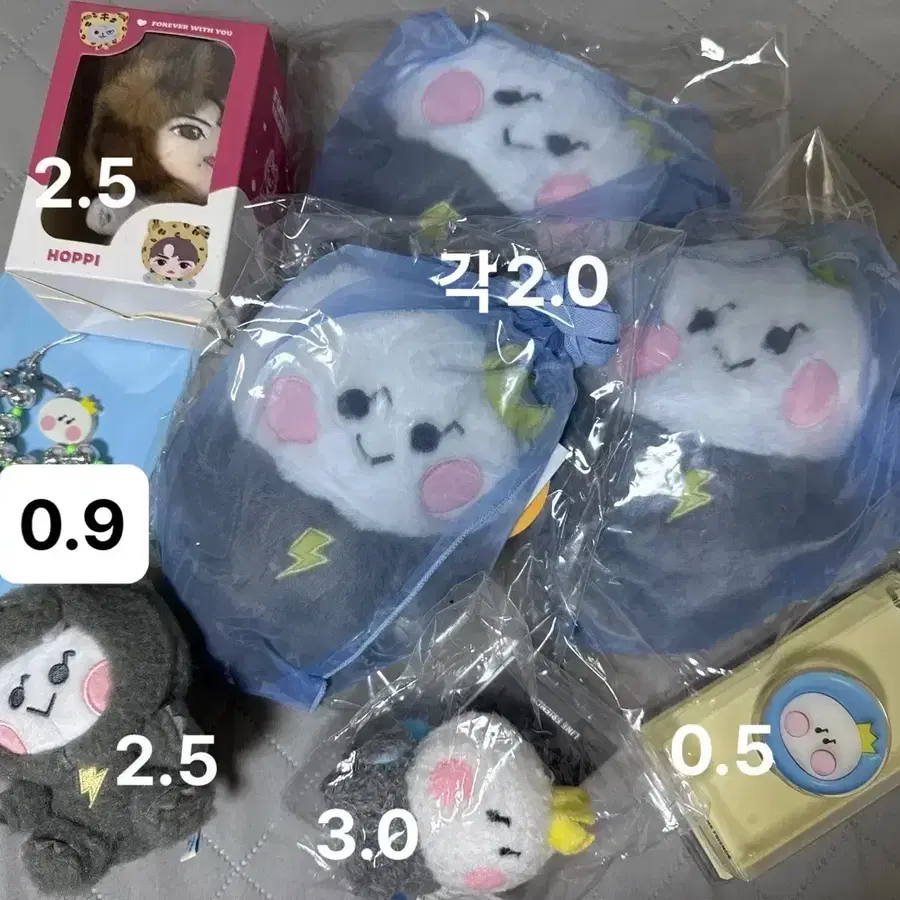 트루즈 요치 양도