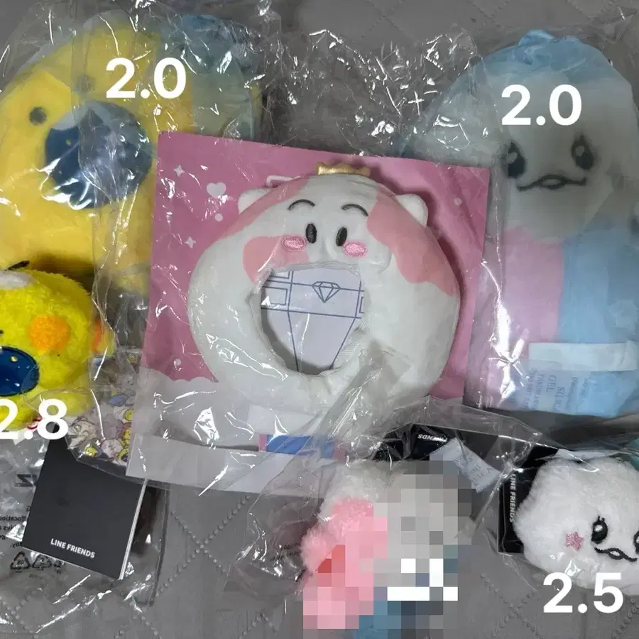 트루즈 포동 솜 양도