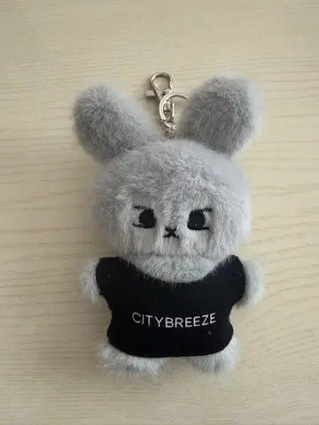 citybreeze 토끼 키링 도영 nct