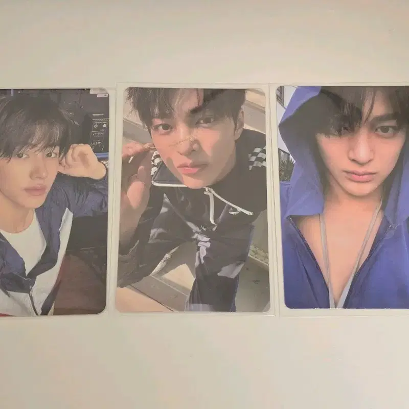 일괄) 코르티스 럭드 포카 성현 건호 메이크스타 위버스 그린그린