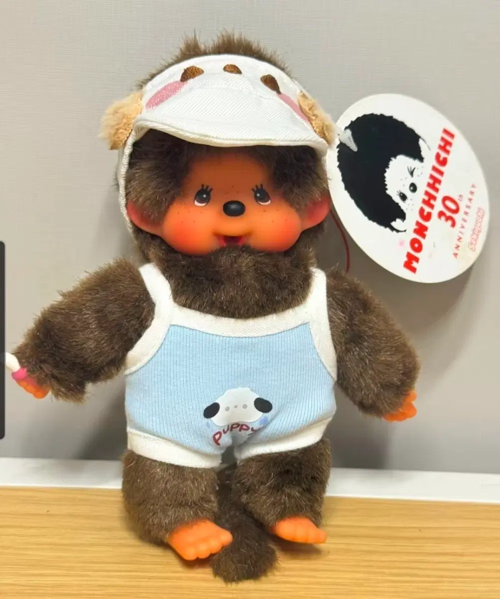 몬치치 블루퍼피보이