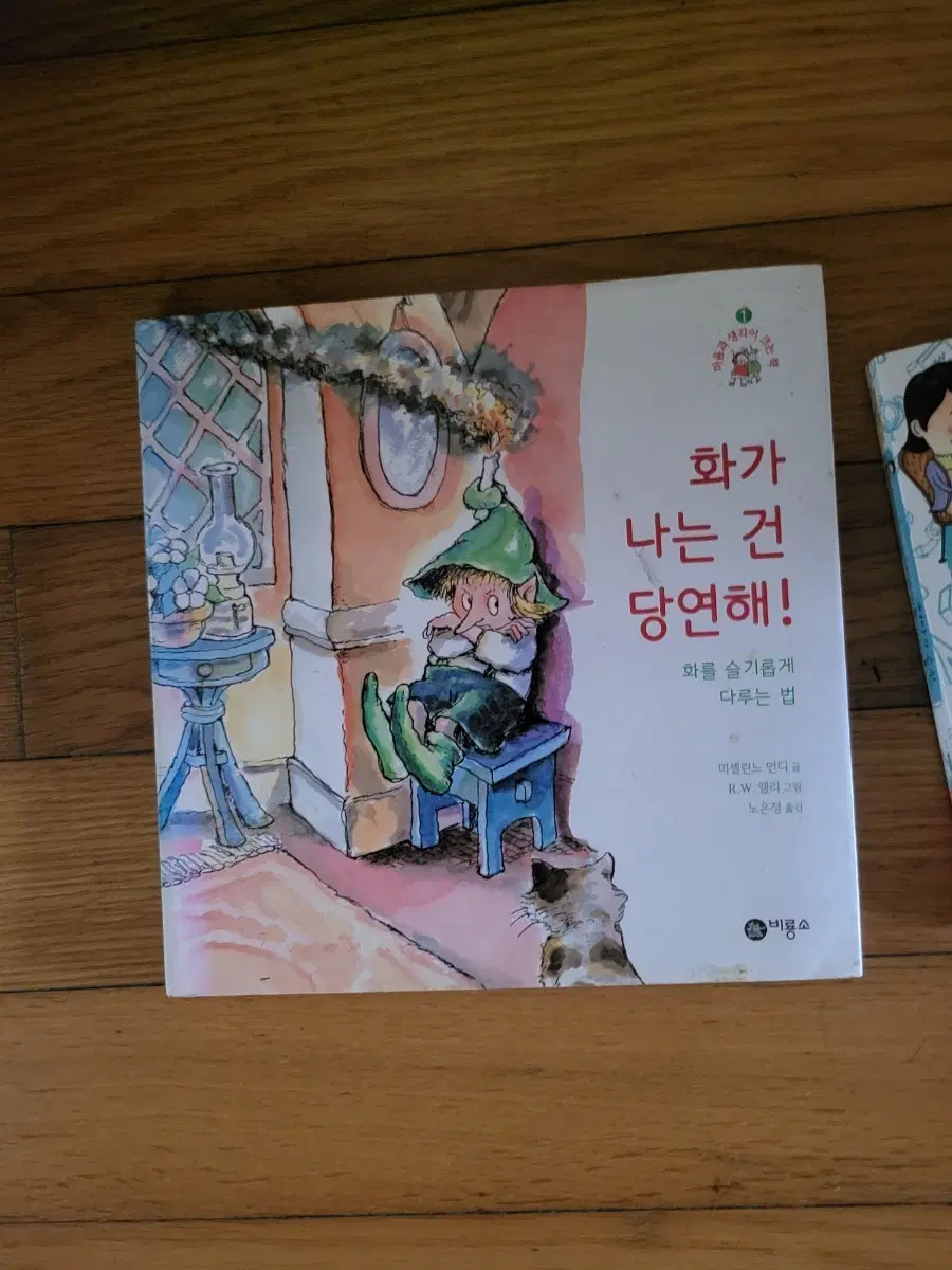 화가 나는 건 당연해! 책