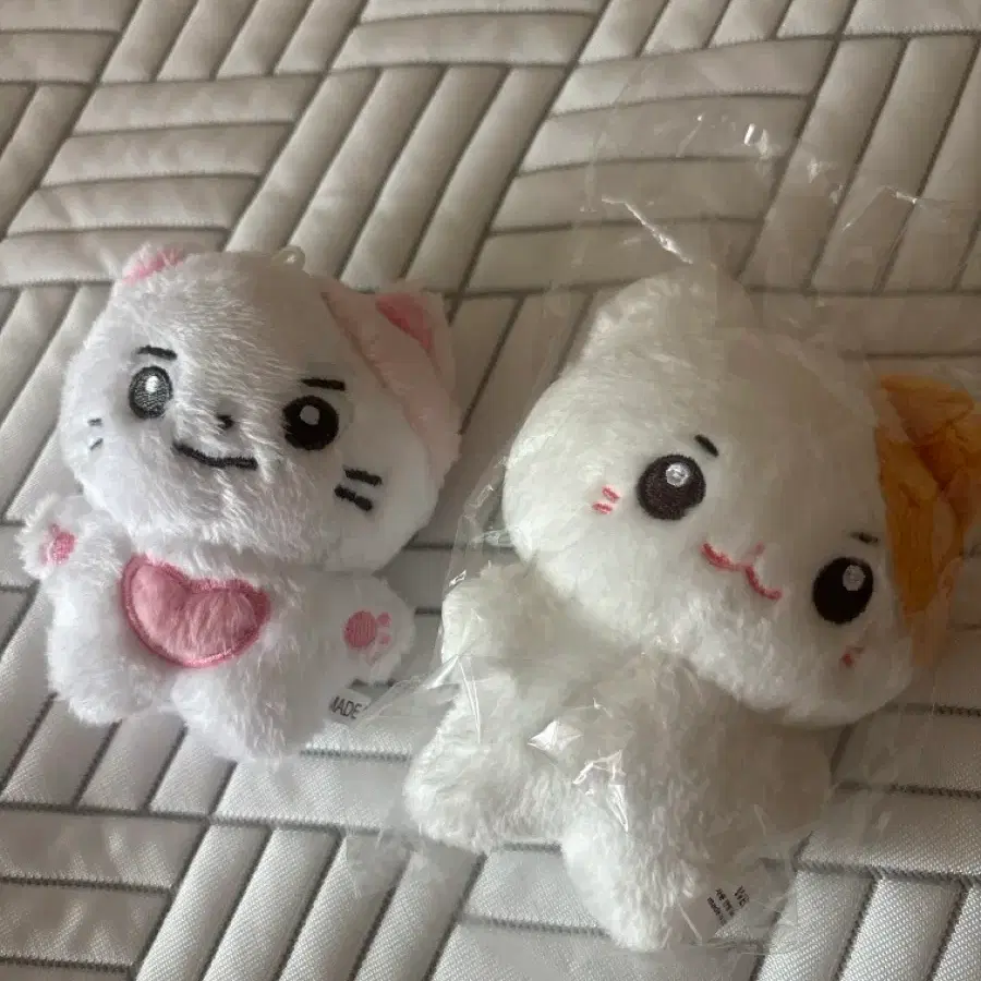제로베이스원 제베원 성한빈 인형 비공굿