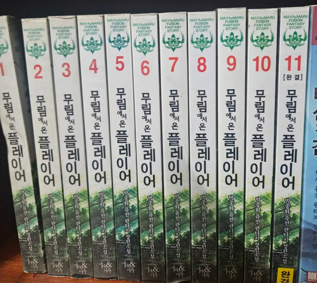 무림에서온플레이어1-11완