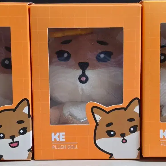 데이식스 데니멀즈 케