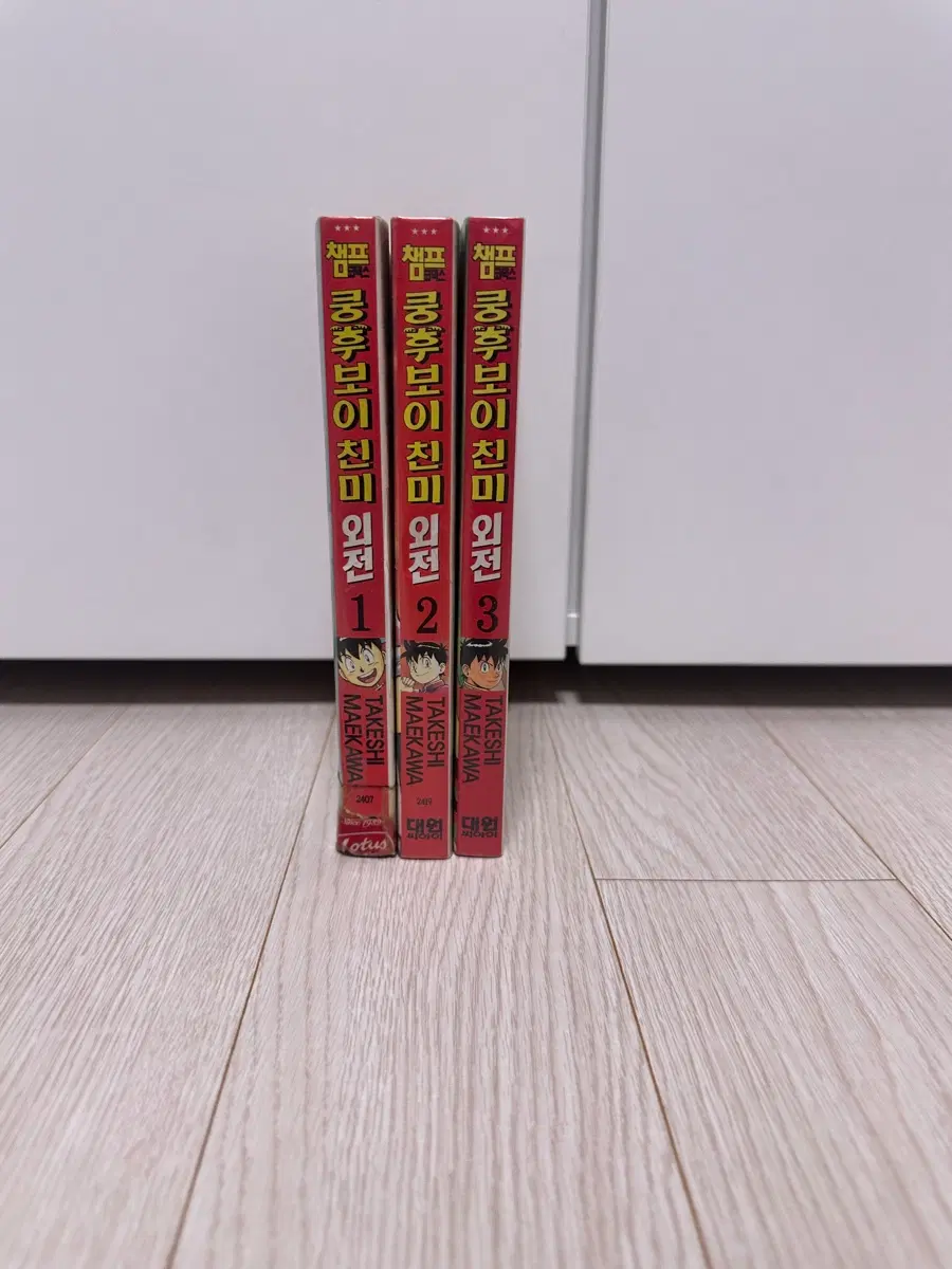 만화책 쿵후보이 외전