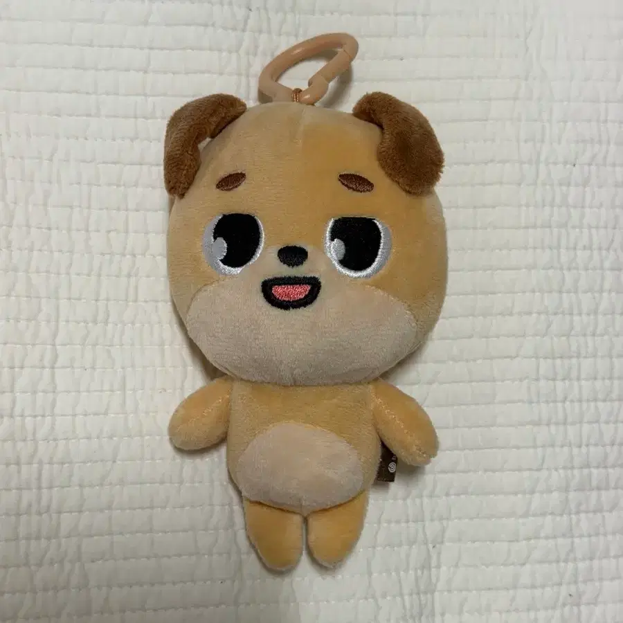 데이식스 데니멀즈 2020 돈