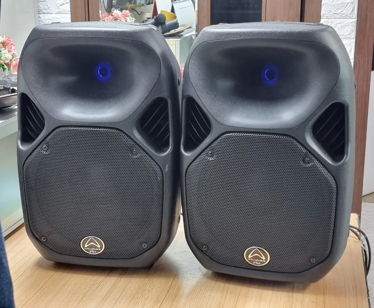 와피데일 Titan AX12 600W 액티브스피커