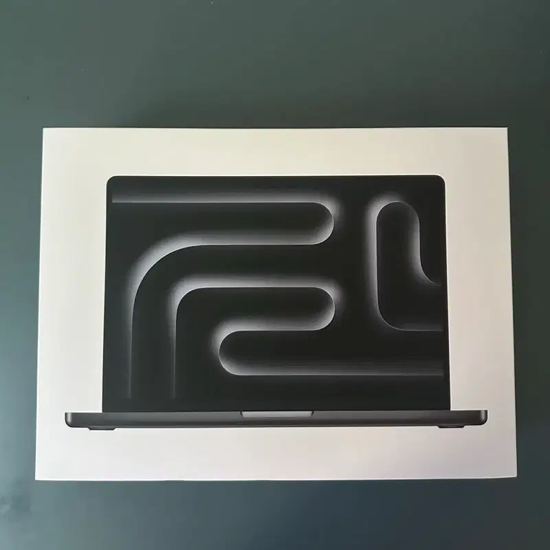 맥북프로 m5 RAM 24GB 1TB