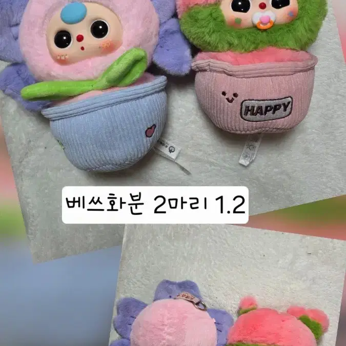 베이비쓰리 화분인형
