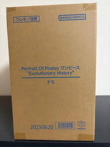 POP 원피스 Evolutionary History 나미