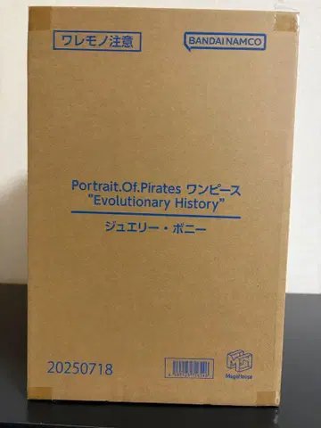 POP 원피스 Evolutionary History 주얼리 보니