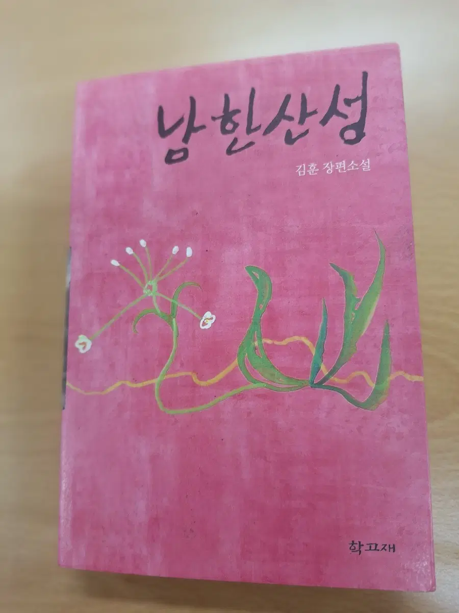 # 남한산성(김훈 장편소설)