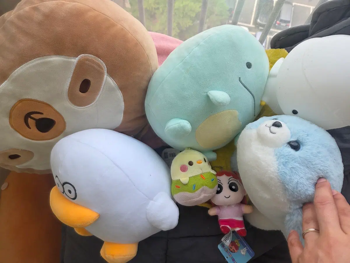 다양한 인형 세트
