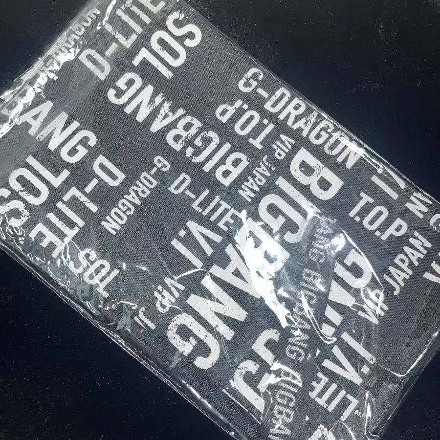빅뱅 파우치