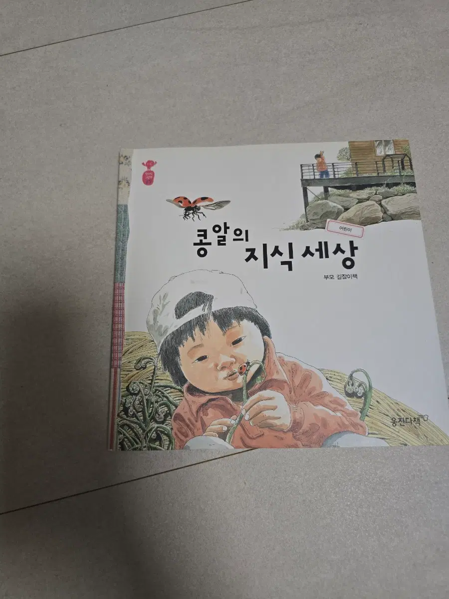 웅진 지식 그림책 콩알의 지식 세상 어린이 부모길잡이