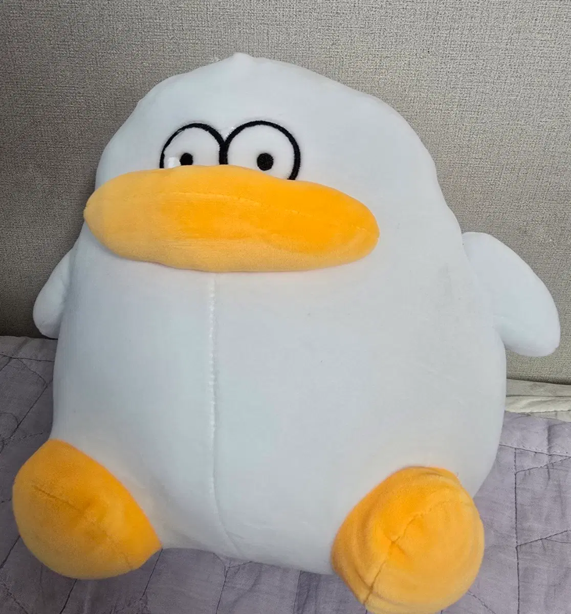 오둥이 백팩 인형